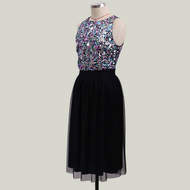 O-Neck Sequins A-Line Dress