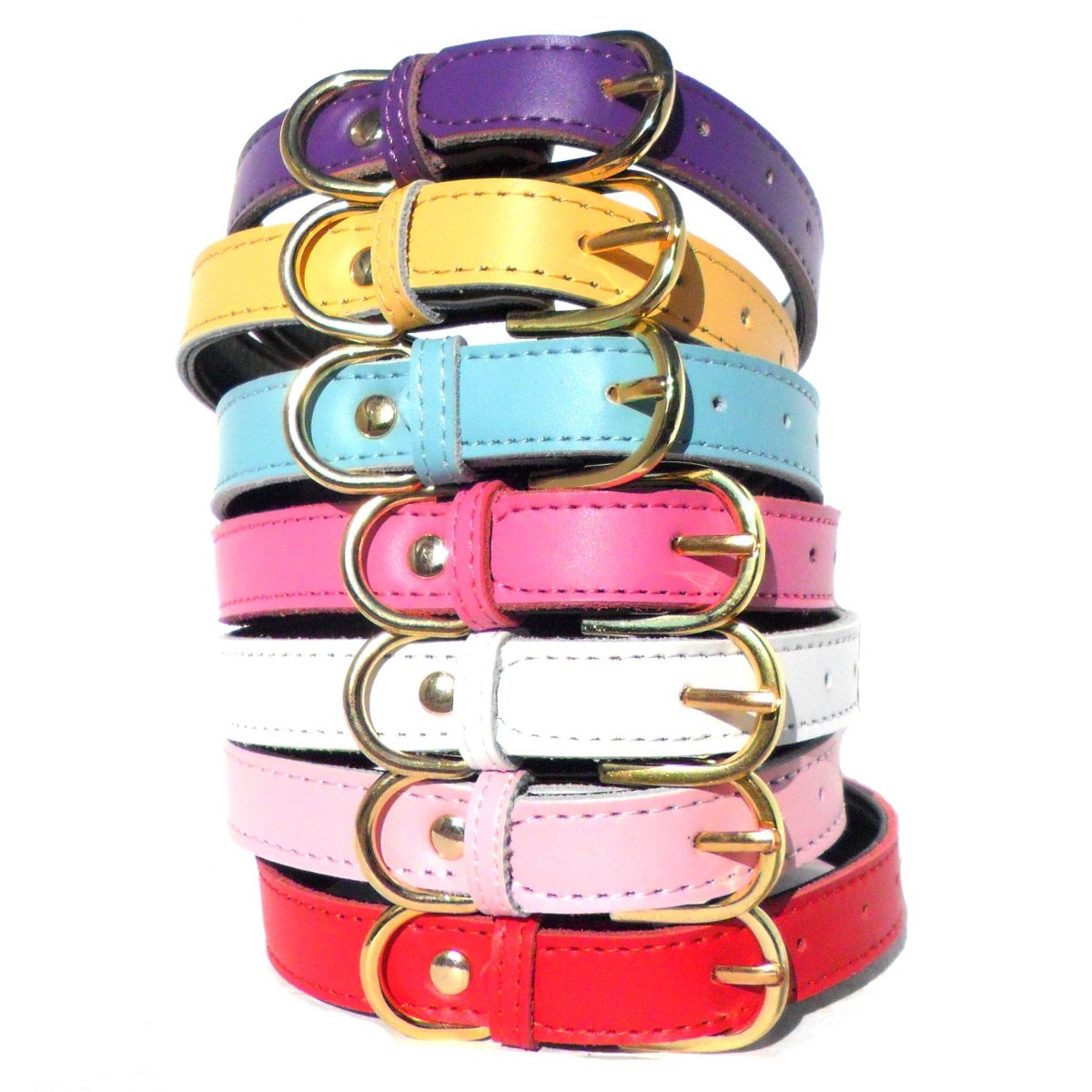 Plain Chelsea Dog Collars (4 sizes) 8-16&quot;