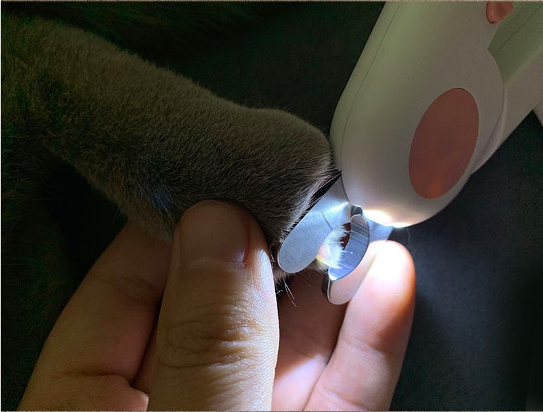 Nagelschaartje voor huisdieren LED-kattennagelknipper Trimmer 