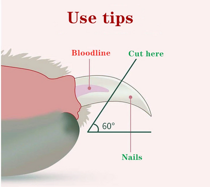 Nagelschaartje voor huisdieren LED-kattennagelknipper Trimmer 