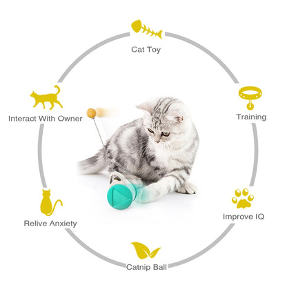 Tumbler gebalanceerd wiel swingende bal kattenspeeltje