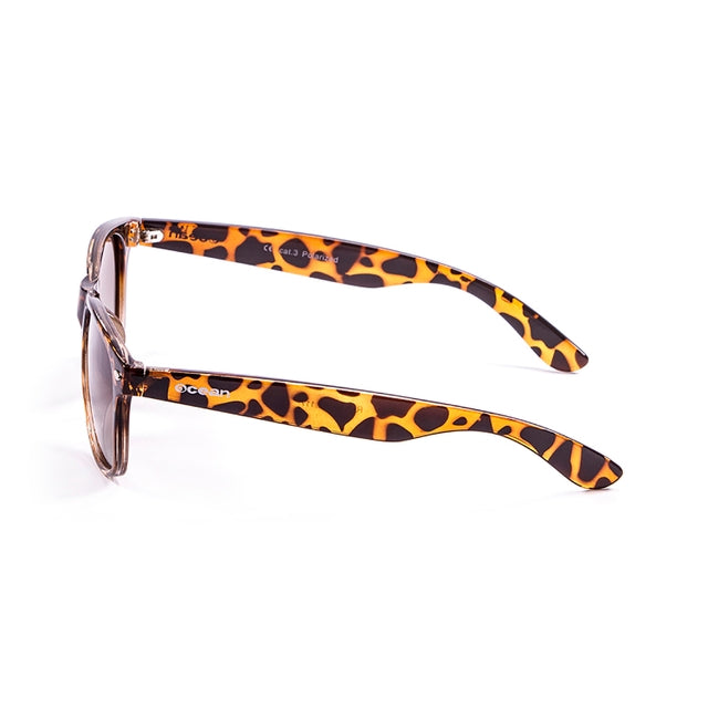 OCEAN GLASSES Beach Wayfarer 18202.117