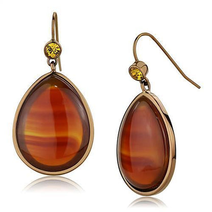 TK2575 - IP Coffee light Stainless Steel Earrings with Semi-Precious